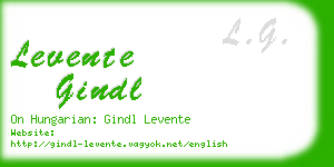 levente gindl business card